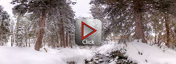 360 degree interactive panorama 