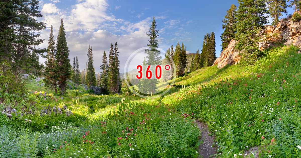 Alta, UtahAlbion Basin3D Panorama